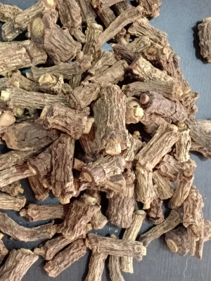 Manufacturers Exporters and Wholesale Suppliers of Sarsaprilla root Tuticorin Tamil Nadu