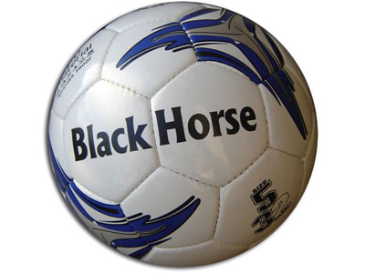 SOCCER BALLS Manufacturer Supplier Wholesale Exporter Importer Buyer Trader Retailer in Jalandhar Punjab India