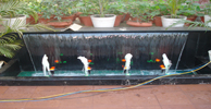 Manufacturers Exporters and Wholesale Suppliers of Foam Jet With Sheet Effect New Delhi Delhi