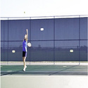 Court Enclosures
