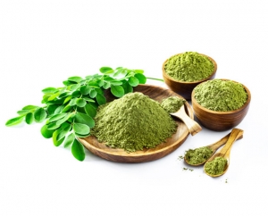 Manufacturers Exporters and Wholesale Suppliers of Moringa Powder Coimbatore Tamil Nadu