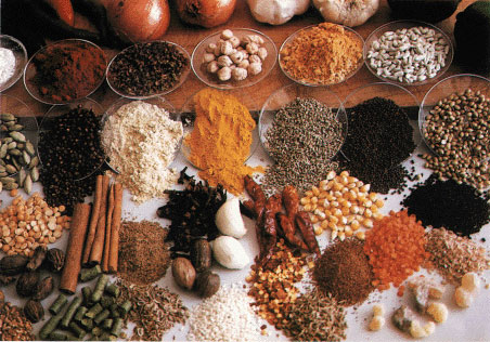 Manufacturers Exporters and Wholesale Suppliers of Spices Ranipet Tamil Nadu