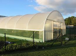 Manufacturers Exporters and Wholesale Suppliers of Polytunnel Hubli 