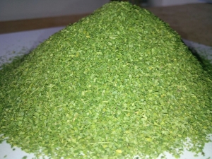 Service Provider of ORGANIC MORINGA TBC LEAVES Tuticorin Tamil Nadu 
