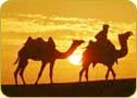 Rajasthan Tours