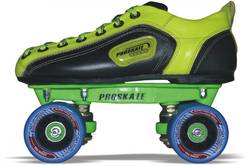 Manufacturers Exporters and Wholesale Suppliers of Proskate Rapid Fire Karnal Haryana