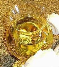 Manufacturers Exporters and Wholesale Suppliers of Ajwain Oil Lucknow Uttar Pradesh