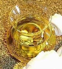 Ajwain Oil Manufacturer Supplier Wholesale Exporter Importer Buyer Trader Retailer in Lucknow Uttar Pradesh India