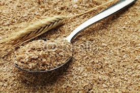 ANIMAL FEED WHEAT Manufacturer Supplier Wholesale Exporter Importer Buyer Trader Retailer in Nagpur Maharashtra India