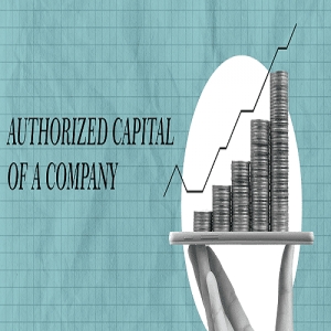 AUTHORIZED SHARE CAPITAL Services in Lucknow Uttar Pradesh 