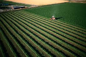 Agricultural Land