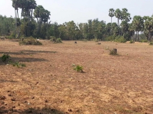 Agriculture Land Sale