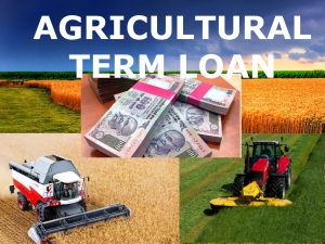 Service Provider of Agriculture Loan Mumbai Maharashtra