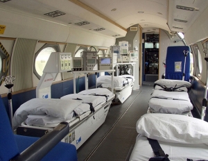 Air Ambulance Services Services in Telangana  India