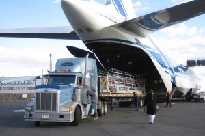 Service Provider of Air Freight Services New Delhi Delhi 