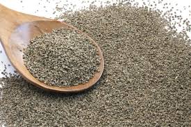 Manufacturers Exporters and Wholesale Suppliers of Ajwain Ahmedabad Gujarat
