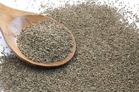 Ajwain Manufacturer Supplier Wholesale Exporter Importer Buyer Trader Retailer in Ahmedabad Gujarat India