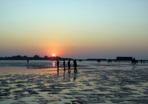 Service Provider of Alibag Nashik Maharashtra 