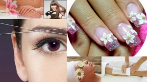 Service Provider of All Beauty Services Gurgaon Haryana 