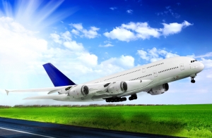 Service Provider of All Flight Booking Amritsar Punjab 