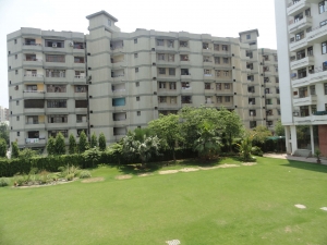 Service Provider of All Over Dwarka New Delhi Delhi All Over Dwarka