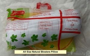 Manufacturers Exporters and Wholesale Suppliers of All Size Netural Blosters Pillow Surat Gujarat