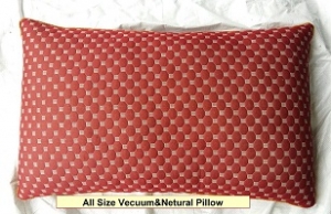 Manufacturers Exporters and Wholesale Suppliers of All Size Vecuum And Netural Pillow Surat Gujarat