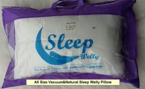 Manufacturers Exporters and Wholesale Suppliers of All Size Vecuum And Netural Sleep Welly Pillow Surat Gujarat