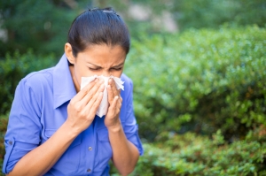 Service Provider of Allergy Gurgaon Haryana 