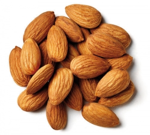 Almond Kernels Manufacturer Supplier Wholesale Exporter Importer Buyer Trader Retailer in Tiruvallur Tamil Nadu India