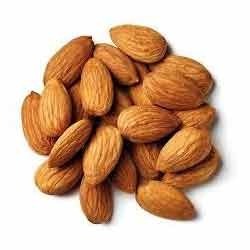 Manufacturers Exporters and Wholesale Suppliers of Almond Nut Nagpur Maharashtra