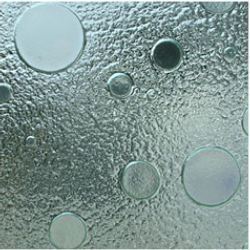 Service Provider of Ambrose Texture Work Nagpur Maharashtra 