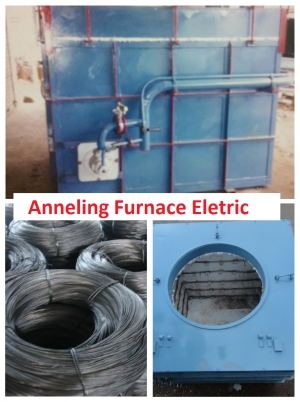 Annealing Furnace Eletric