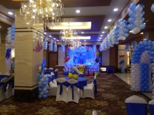 Service Provider of AQUA POP THEME  Delhi 