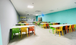 Service Provider of Art Works Uday Vihar West Delhi Delhi 