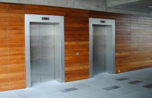 Auto Door Passenger Elevators