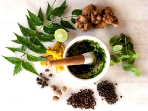 Manufacturers Exporters and Wholesale Suppliers of Ayurvedic Products Jaipur Rajasthan