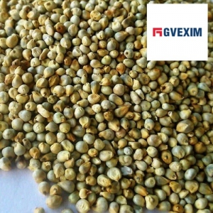 Green Millet