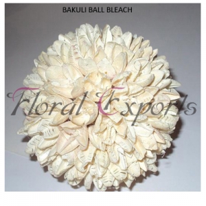 Manufacturers Exporters and Wholesale Suppliers of BAKULI BALL BLEACH Kolkata West Bengal