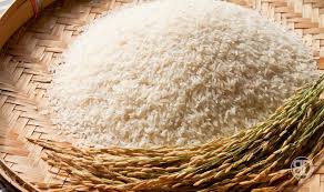 Manufacturers Exporters and Wholesale Suppliers of BASMATI RICE Nagpur Maharashtra