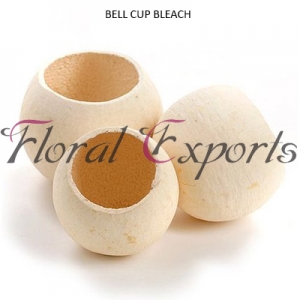 Manufacturers Exporters and Wholesale Suppliers of BELL CUP BLEACH Kolkata West Bengal