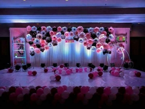 Service Provider of BIRTHDAY PARTY  Delhi 