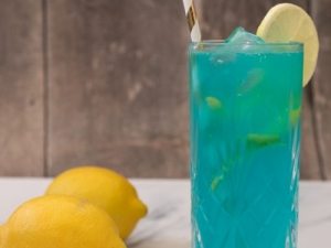 Blue Lagoon Mocktail Services in Delhi Delhi India