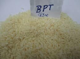 BPT RICE Services in Nagpur Maharashtra India