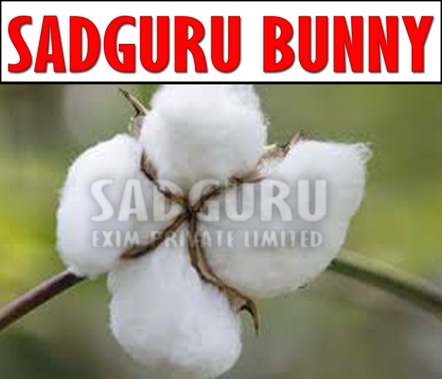 Sadguru Bunny Raw Cotton Manufacturer Supplier Wholesale Exporter Importer Buyer Trader Retailer in jamnagar Gujarat India