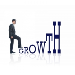 Service Provider of BUSINESS GROWTH SOLUTIONS New Delhi Delhi