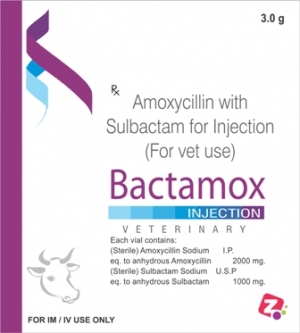Manufacturers Exporters and Wholesale Suppliers of BACTAMOX 3 GM AMBALA CITY Haryana