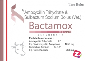 Manufacturers Exporters and Wholesale Suppliers of BACTAMOX BOLUS AMBALA CITY Haryana