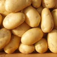 Manufacturers Exporters and Wholesale Suppliers of Badshah Potato Hyderabad Andhra Pradesh