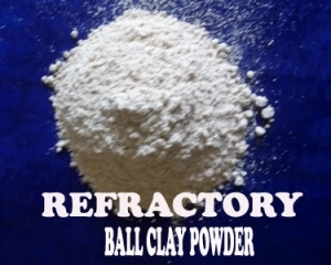 Manufacturers Exporters and Wholesale Suppliers of Ball Clay Powder Vriddhachalam Tamil Nadu